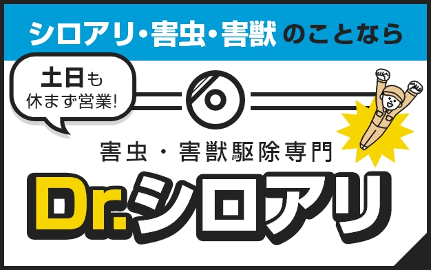 害虫・害獣駆除のことならDr.シロアリ